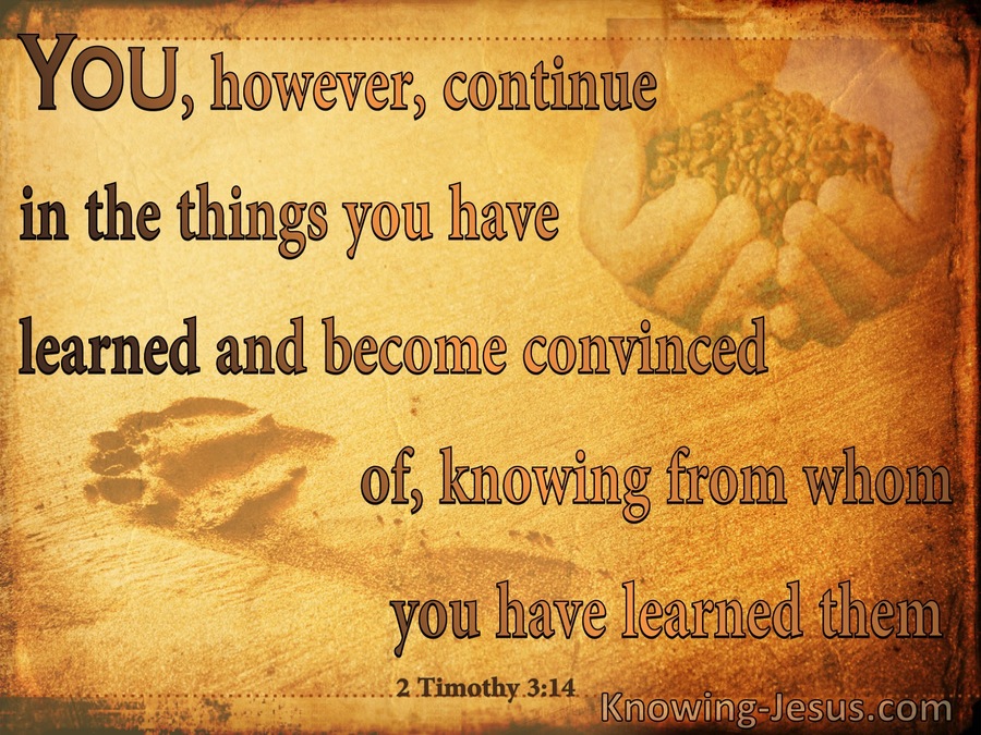 2 Timothy 3:14 Continue In The Things You Have Learned (orange)